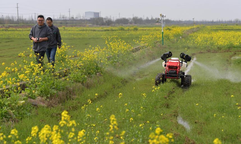 An unmanned crop protection machine works on a field of the Datian rural cooperative in Jiangxiang Town, Nanchang County of east China's Jiangxi Province, March 12, 2021. Farms of the Datian rural cooperative greeted a smart spring ploughing on Friday, during which unmanned technologies offered new solutions of modern agriculture. By taking advantage of these new technologies, the farms, with a total area of 10,000 mu (about 666.67 hectares), can be governed by only 26 people. Photo: Xinhua