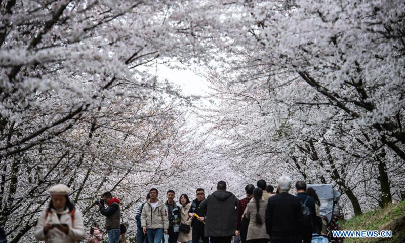 People visit a cherry blossom sightseeing garden in Gui'an New District, southwest China's Guizhou Province, March 12, 2021. Photo: Xinhua