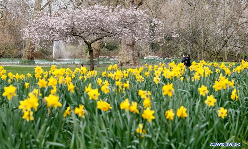 People walk by flowers in a park in central London, Britain, on March 25, 2021. Photo:Xinhua