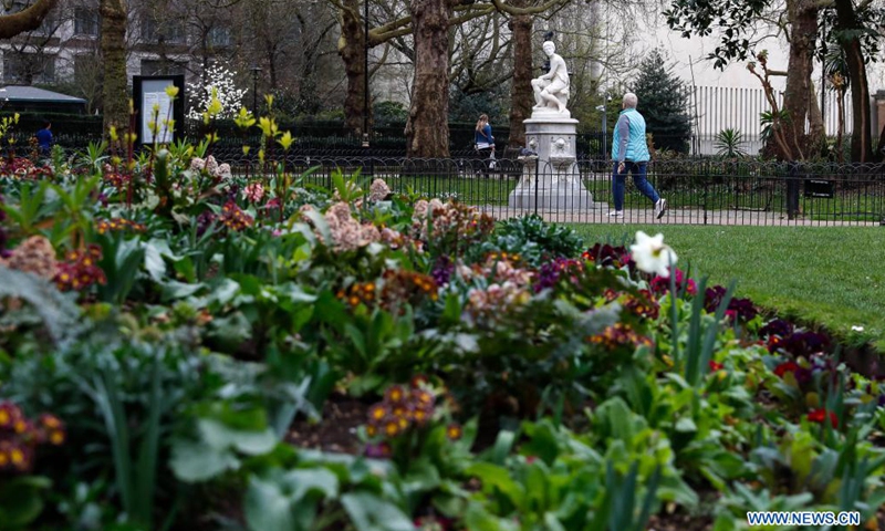 People walk by flowers in a park in central London, Britain, on March 25, 2021.Photo:Xinhua