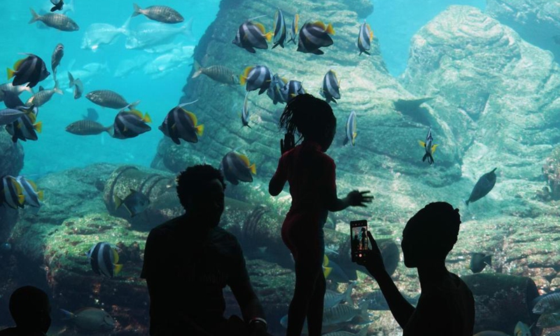 Tourists take pictures at the USHAKA Marine World in Durban, South Africa, April 1, 2021. Photo: Xinhua