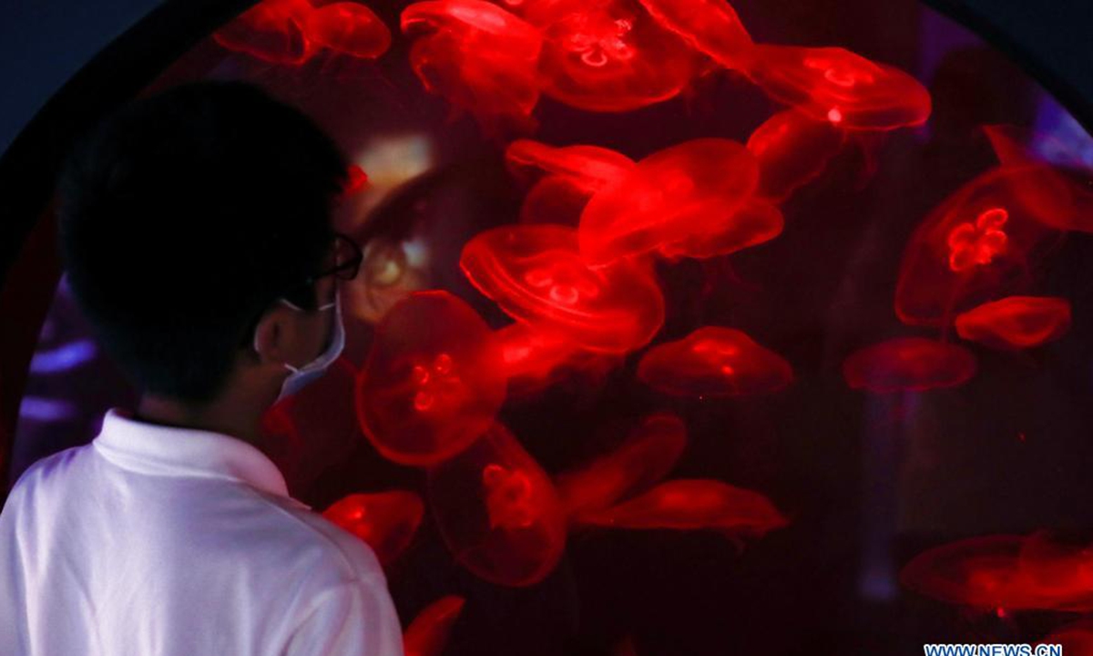 A man visits Cairns Aquarium in Cairns, Queensland, Australia, on April 1, 2021. There were some restrictions remaining in place across Queensland until April 15, including mandatory face masks in indoor venues except home. (Xinhua/Bai Xuefei)