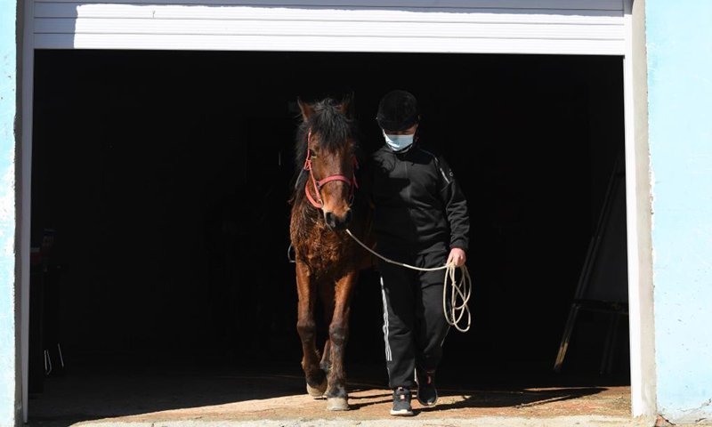 Ulahat Ulan, a senventh grade student of Oymak Boarding School, leads a horse during an equestrian class in Burqin County, northwest China's Xinjiang Uygur Autonomous Region, March 30, 2021. People in Xinjiang Uygur Autonomous Region have a tradition of horse breeding and riding. Photo: Xinhua