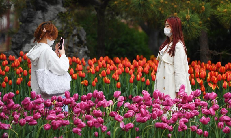 Tourists take photos amid tulips at Tianbo General Yang Ye's Mansion scenic spot in Kaifeng, central China's Henan Province, April 3, 2021. (Xinhua/Zhang Haoran)