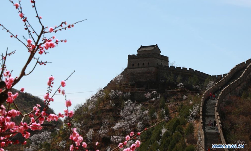 Photo taken on April 3, 2021 shows blooming flowers on Xiangshuihu section of the Great Wall in Huairou District, Beijing, capital of China.Photo:Xinhua