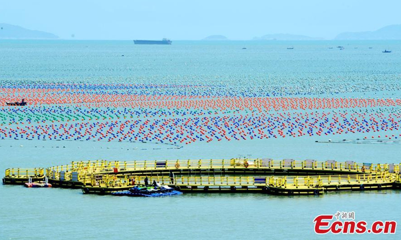 Aerial photo taken on April 8, 2021 shows aquaculture floats at a sea farm in Lianjiang County, Fuzhou City, east China’s Fujian Province. With a sea area of more than 3000 square kilometers and 47 natural harbors, the county leads the domestic total output of aquatic products.Photo:China News Service