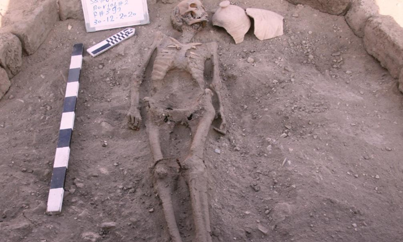 Photo taken on April 8, 2021 shows a human skeleton unearthed at the Lost Gold City in Luxor, Egypt. An Egyptian archeological mission announced on Thursday the discovery of a 3,000-year-old Lost Gold City (LGC) in Egypt's monument-rich city of Luxor.Photo:Xinhua