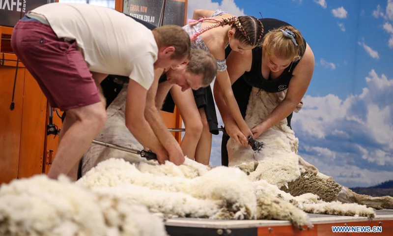 People experience sheep shearing during the Sydney Royal Easter Show in Sydney, Australia, April 9, 2021. With a history of nearly 200 years, the Sydney Royal Easter Show is not only one of the most prestigious events for Australia's agricultural producers but also a great opportunity to experience traditional rural and cultural heritage with family fun. The show was canceled due to the COVID-19 pandemic last year, which made this year's event more popular.Photo:Xinhua