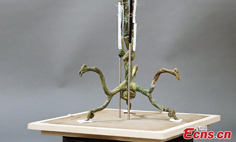 This photo taken on April 8, 2021 shows the bronze sculpture of a tree excavated in 1986 from the Sanxingdui Ruins site in Guanghan, southwest China's Sichuan Province.Photo:China News Service