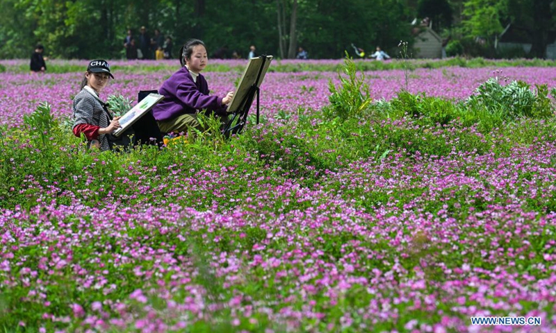 Tourists draw from nature in the Chinese milk vetch field in Yijiang Township, Nanling County, Wuhu City of east China's Anhui Province on April 17, 2021. A Chinese milk vetch-themed carnival was held in Yijiang on Saturday to attract more tourists to the township. (Photo: Xinhua)