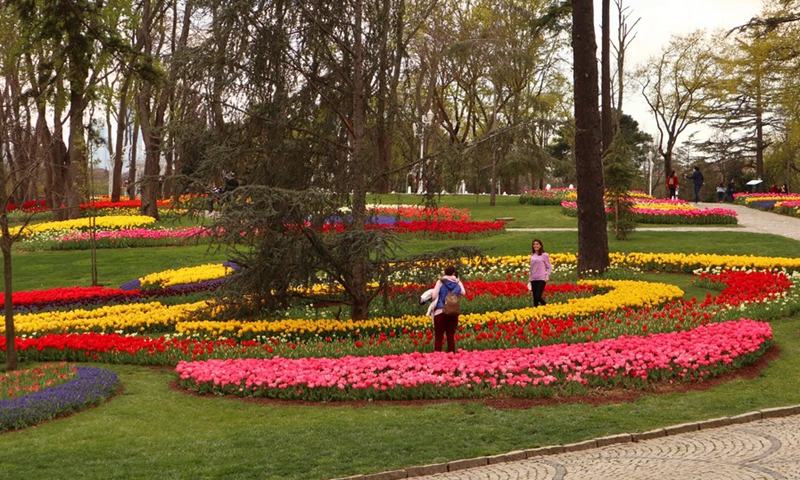 Visitors enjoy the tulips at a park in Istanbul, Turkey on April 20, 2021.(Photo: Xinhua)