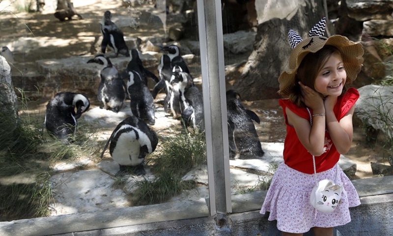 A girl takes photos with African penguins at the Ramat Gan Safari Park in the central Israeli city of Ramat Gan on April 25, 2021.(Photo: Xinhua)