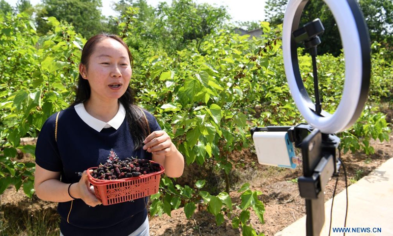A villager sells mulberries through livestreams in Feixi County, east China's Anhui Province, April 30, 2021.Photo:Xinhua