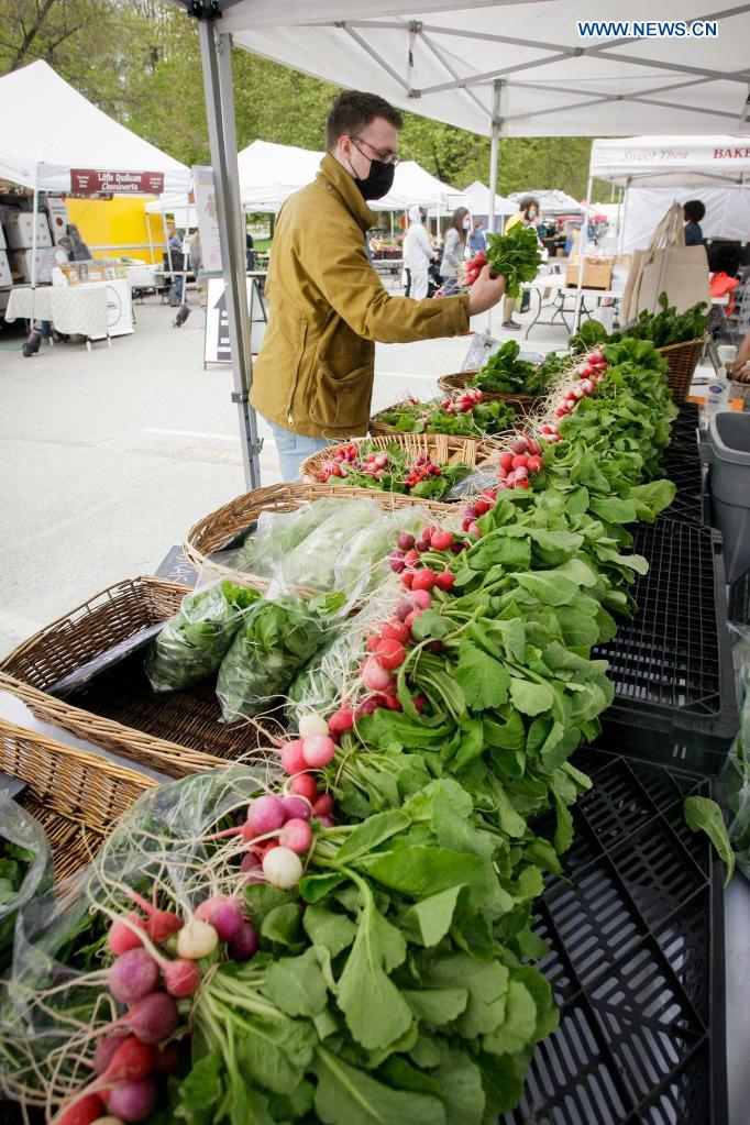 A man visits a summer Vancouver farmers market in Vancouver, British Columbia, Canada, on May 1, 2021. The 2021 summer Vancouver Farmers Markets kicked off on Saturday and will run till October in several locations across the city.   Photo: Xinhua