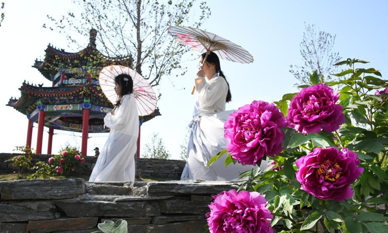 People in Han-style costumes enjoy peony flowers at a peony industrial park in Qingdao, east China's Shandong Province, May 1, 2021. (Xinhua/Li Ziheng)