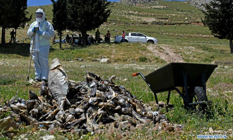 Dead fish are seen at the Qaraoun lake in Bekaa, Lebanon, on May 7, 2021. A large number of dead fish have been recently washed ashore at the lake. The massive fish deaths are believed to be caused by untreated water discharged by dozens of factories into the Litani River, which flows into Lake Qaraoun, an artificial lake created by a dam on the longest river in Lebanon.(Photo: Xinhua)