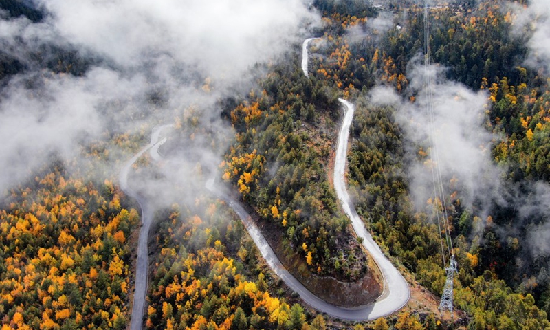 Photo taken on Nov. 5, 2020 shows the highway linking Pad Township in the city of Nyingchi and Medog County, southwest China's Tibet Autonomous Region.(Photo: Xinhua)