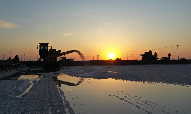Workers harvest salt in a salt field at Binhai Township, Zhanhua District, Binzhou City of east China's Shandong Province, on May 18, 2021. Workers have started harvesting spring salt from the 600,000-mu (40,000 hectares) of salt fields at Binhai Township. The total output is expected to hit 500,000 tons when the harvest work concludes by the end of June.Photo:Xinhua
