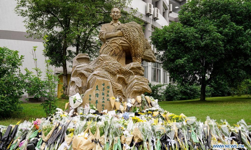 Flowers are seen in front of a statue of Yuan Longping in Southwest University in southwest China's Chongqing, May 22, 2021. Chinese scientist Yuan Longping, renowned for developing the first hybrid rice strain that relieved countless people of hunger, died of organ failure at 91 on Saturday. Yuan graduated from the Southwest Agricultural College (now the Southwest University) in 1953.Photo:Xinhua