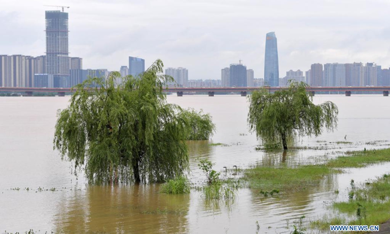 Aerial photo taken on May 23, 2021 shows trees immersed in water along the Ganjiang River in Nanchang, east China's Jiangxi Province. Water level of Ganjiang River has been rising due to the torrential rain.(Photo: Xinhua)