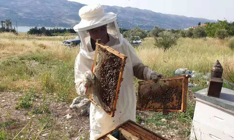 A beekeeper shows his beehives full of honey in a citrus orchard in Lebanon's southern town of Hasbaya on May 21, 2021. (Photo: Xinhua)