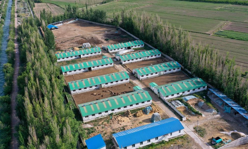 Aerial photo shows an organic cultivation base of a dairy company in Yining County in Kazak Autonomous Prefecture of Ili, northwest China's Xinjiang Uygur Autonomous Region, May 27, 2021. In recent years, Yining has optimized the local animal husbandry industrial structure to improve on how the industry develops. Meanwhile, more science-based steps have been taken to achieve economies of scale and increase farmers' income.  Photo: Xinhua