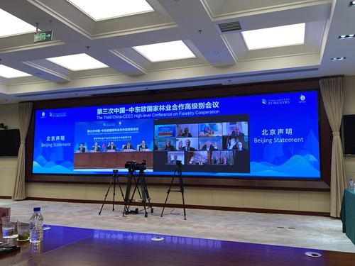 The joint statement was signed at the third China-CEEC high-legel conference on forestry cooperation held on Wednesday via video link. Photo: Fan Anqi/GT