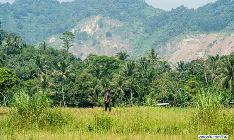 A farmer walks in a paddy field with a hill in the background that was cut by rocks mining at Rumpin of Bogor district in West Java, Indonesia, on June 5, 2021. This year's World Environment Day falls on Saturday.Photo:Xinhua