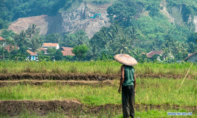 A farmer walks in a paddy field with a hill in the background that was cut by rocks mining at Rumpin of Bogor district in West Java, Indonesia, on June 5, 2021. This year's World Environment Day falls on Saturday.Photo:Xinhua