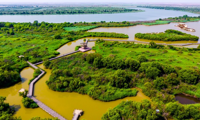 Aerial photo taken on June 23, 2018 shows the wetland of the Yellow River Delta National Nature Reserve in Dongying, east China's Shandong Province.Photo:Xinhua