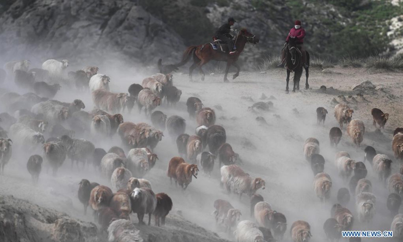 Ethnic Kazakh herdsmen move their livestock to summer pastures in Fuhai County of Altay, northwest China's Xinjiang Uygur Autonomous Region, June 5, 2021.(Photo: Xinhua)