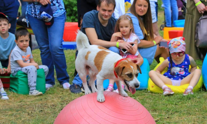 People watch a pet show during a city picnic festival held in Minsk, Belarus, June 6, 2021.(Photo: Xinhua)