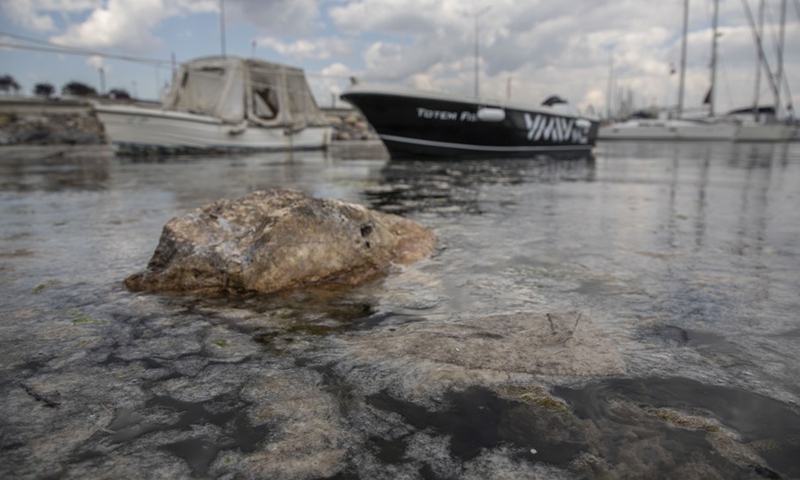Photo taken on June 4, 2021 shows mucilage, also known as sea snot, in the Marmara Sea in Istanbul, Turkey.(Photo: Xinhua)