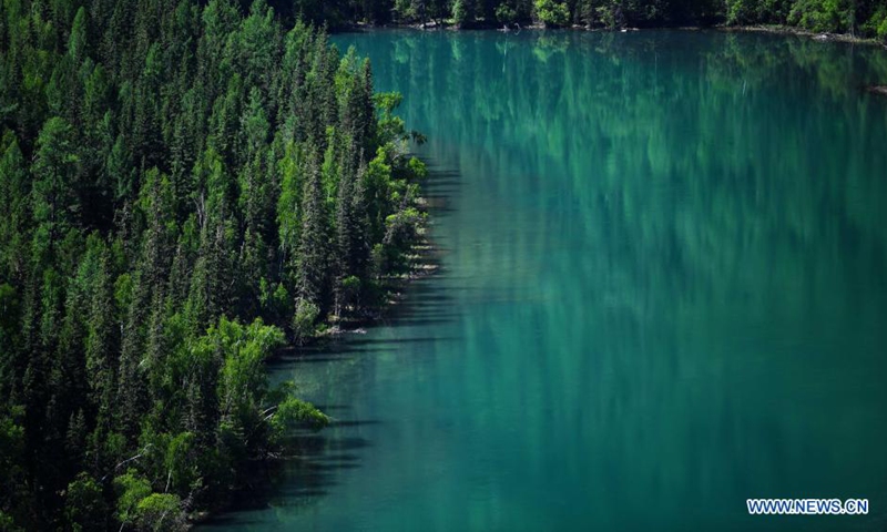 Photo taken on June 10, 2021 shows the scenery at the Kanas scenic area of Altay, northwest China's Xinjiang Uygur Autonomous Region. Photo: Xinhua