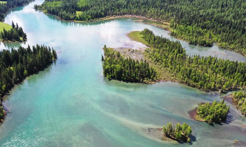Aerial photo taken on June 10, 2021 shows the scenery at the Kanas scenic area of Altay, northwest China's Xinjiang Uygur Autonomous Region. Photo: Xinhua