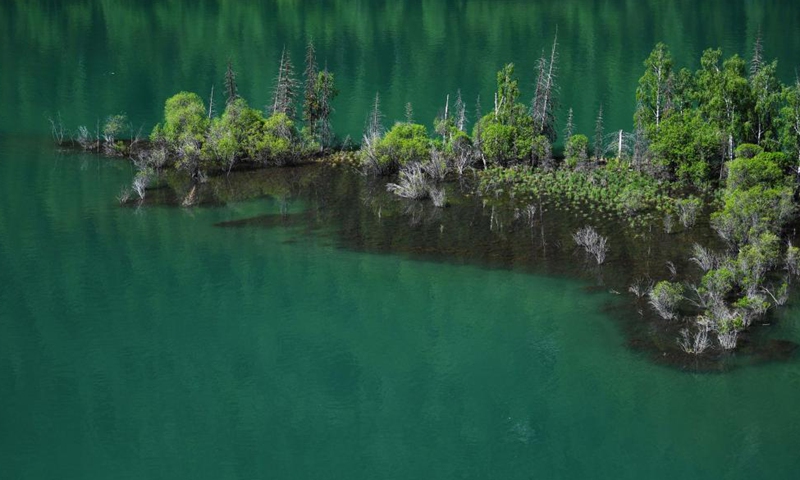 Photo taken on June 10, 2021 shows the scenery at the Kanas scenic area of Altay, northwest China's Xinjiang Uygur Autonomous Region. Photo: Xinhua
