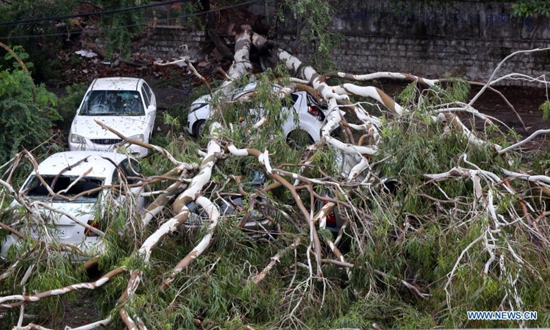 Cars are damaged by trees uprooted during a heavy storm in Bhopal, the capital city of India's Madhya Pradesh state, June 13, 2021. (Str/Xinhua)