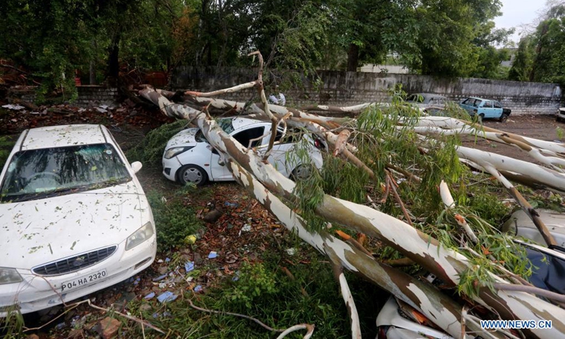 Cars are damaged by trees uprooted during a heavy storm in Bhopal, the capital city of India's Madhya Pradesh state, June 13, 2021. (Str/Xinhua)