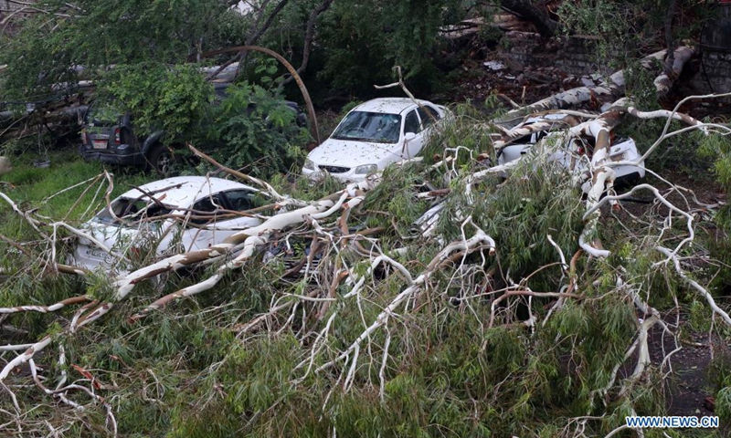 Cars are damaged by trees uprooted during a heavy storm in Bhopal, the capital city of India's Madhya Pradesh state, June 13, 2021. (Str/Xinhua)