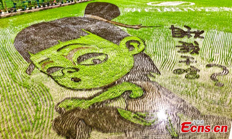 This photo taken on June 10, 2021, shows a rice paddy field painting under Helan Mountain in Helan County, Yinchuan City, Ningxia Hui Autonomous Region. (Photo/Li Zeyang)