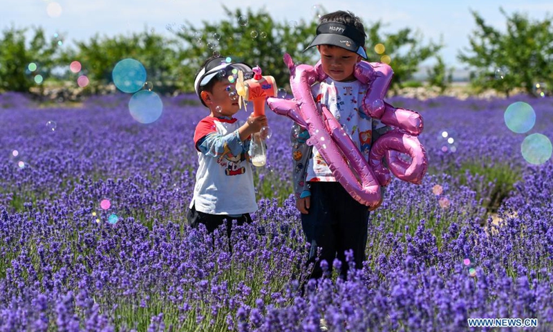 Children play in a lavender farm in Huocheng County, northwest China's Xinjiang Uygur Autonomous Region, June 13, 2021. (Photo: Xinhua)