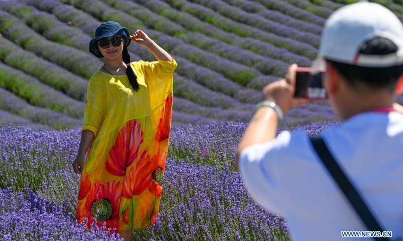 Visitors take photos in a lavender farm in Huocheng County, northwest China's Xinjiang Uygur Autonomous Region, June 13, 2021.(Photo: Xinhua)
