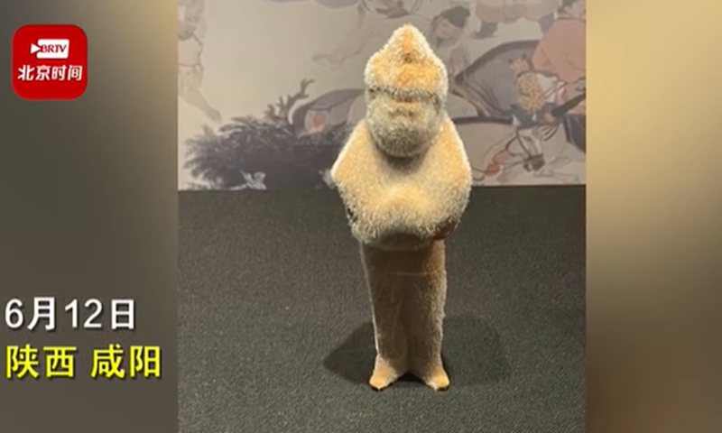 Photo: Screenshot of a Weibo video