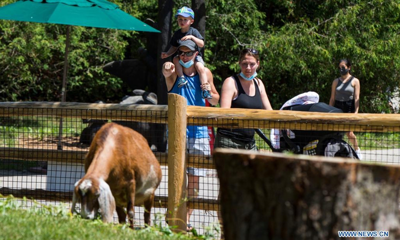 Visitors look at a goat at the Toronto Zoo in Toronto, Canada, on June 19, 2021. The Toronto Zoo officially reopened to the public on Saturday after being closed to visitors since November 23, 2020.(Photo: Xinhua)