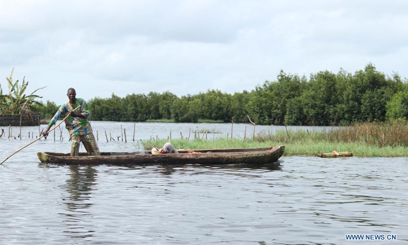 A man rows in a flooded field in the village of Djegbadji, in Ouidah, Benin, June 21, 2021.(Photo: Xinhua)