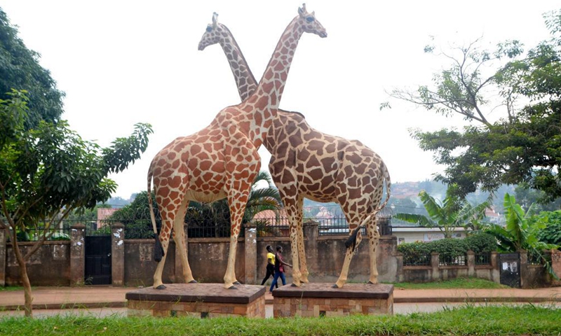 Giraffe sculptures are seen in Kampala, Uganda, June 25, 2021. Uganda has suspended domestic tourism amid rising cases of COVID-19, a tourism official said here Friday. Uganda used to earn over 1.6 billion U.S. dollars annually from the tourism sector, but the country's tourism earnings in 2020 dropped by 73 percent due to the pandemic, according to the tourism ministry.Photo:Xinhua