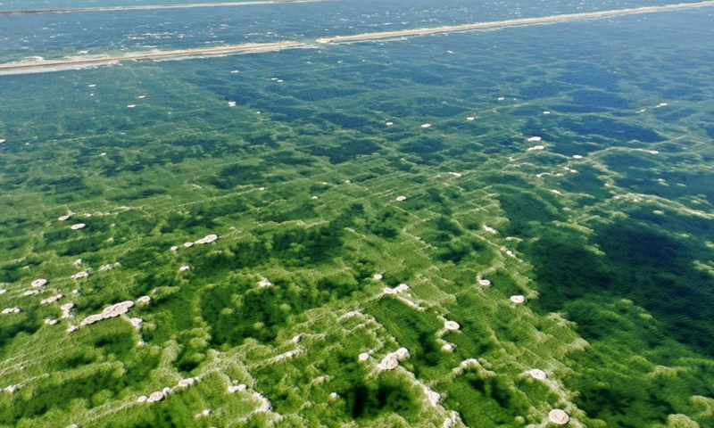 Aerial photo taken on June 17, 2021 shows the view of salt formations in the southern part of Dead Sea near the Neve Zohar resort, Israel.(Photo: Xinhua)