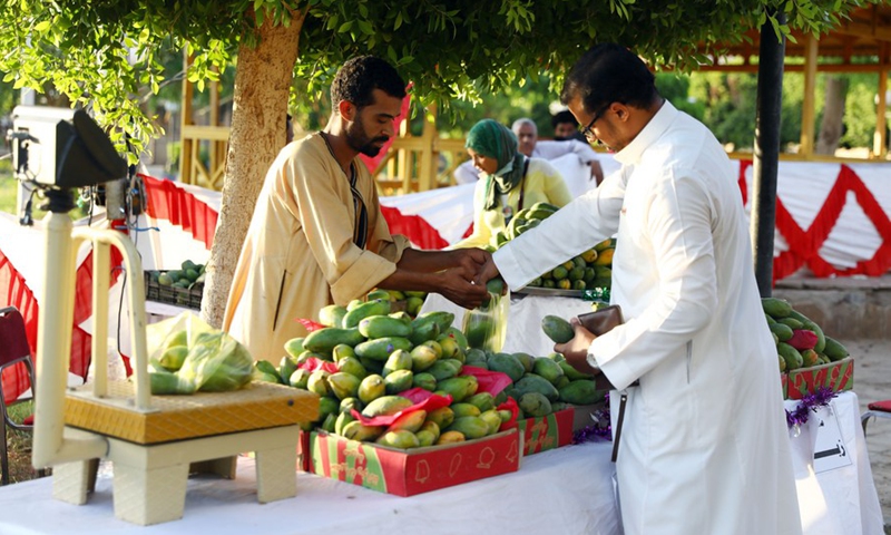 People buy mangoes at a booth during the Mango Festival held in Aswan, Egypt, June 26, 2021.(Photo: Xinhua)