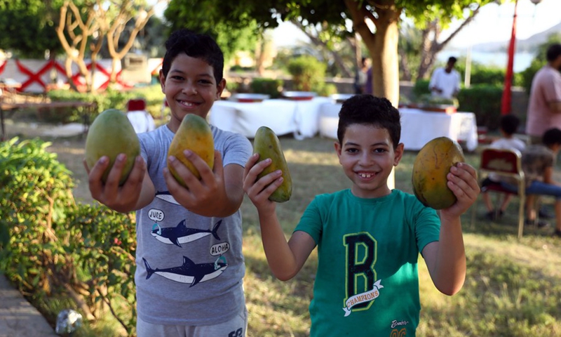Children shows mangos during the Mango Festival held in Aswan, Egypt, June 26, 2021.(Photo: Xinhua)