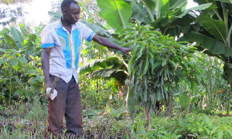 Isaac Kinale, an avocado farmer shows an avocado tree on a farm in Muranga County, Kenya, Feb. 4, 2021. (Photo: Xinhua)